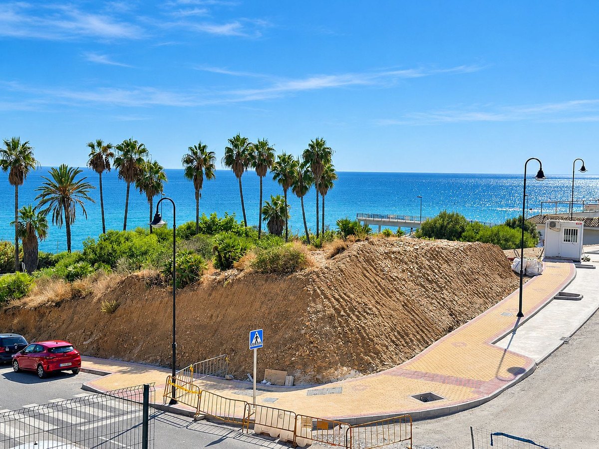 Palms, the beach and the open sea