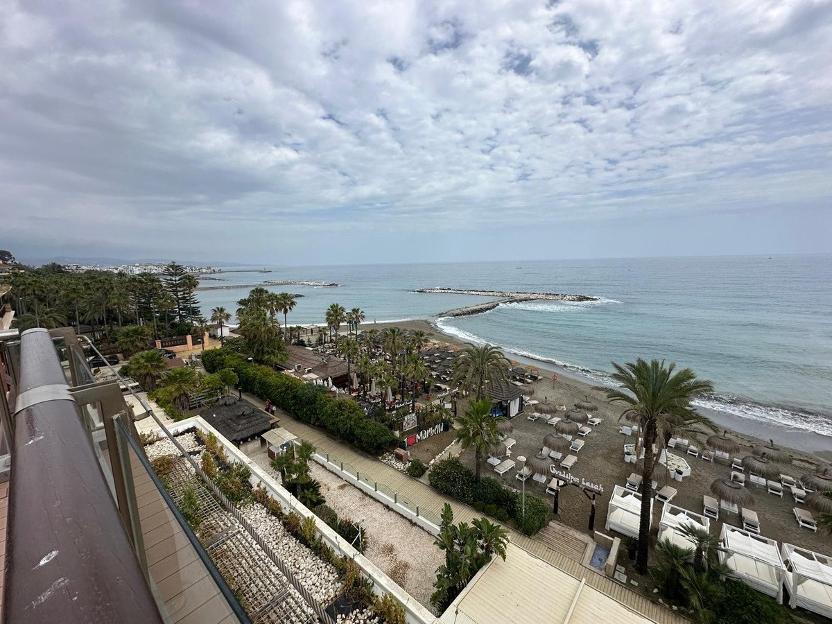 Looking along the coast from the terrace: the beach, the palms and the breakwater