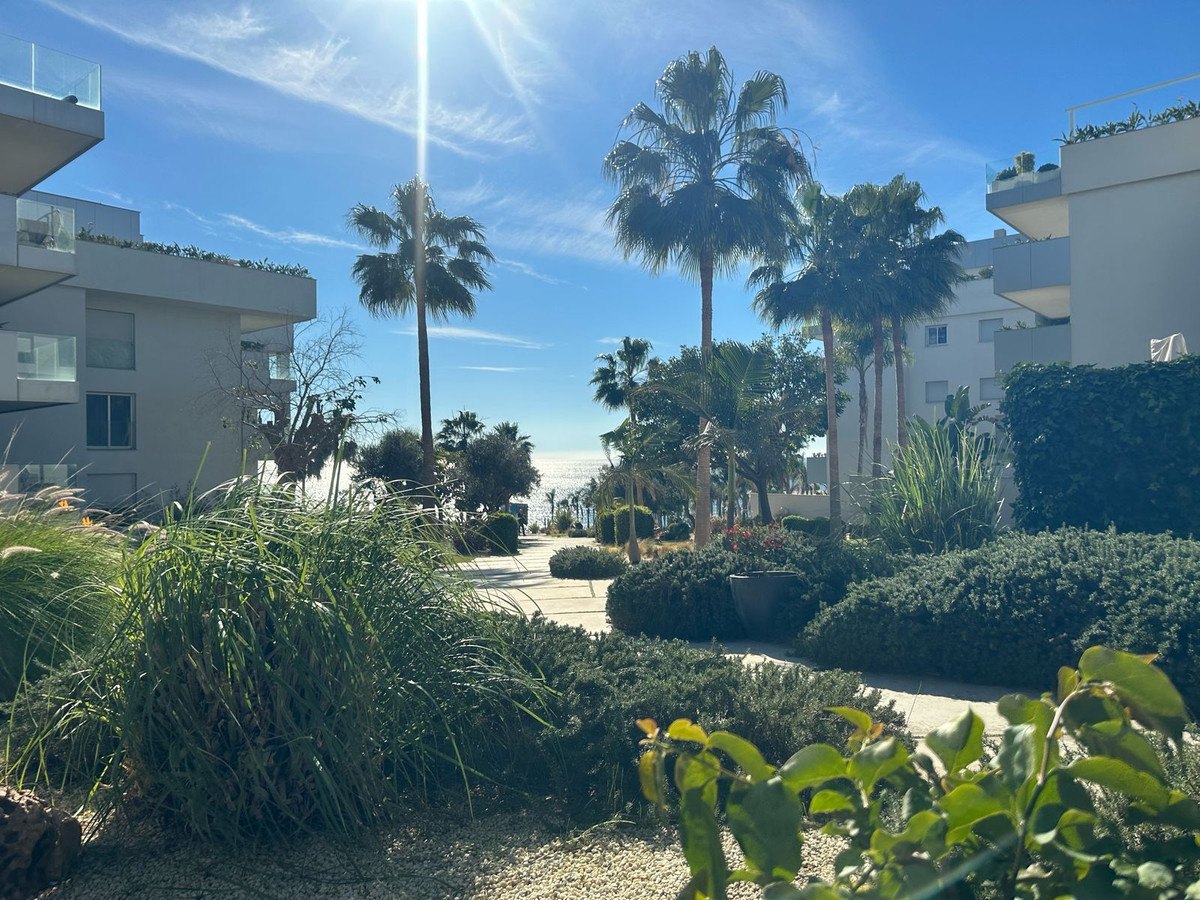 The gardens between the buildings