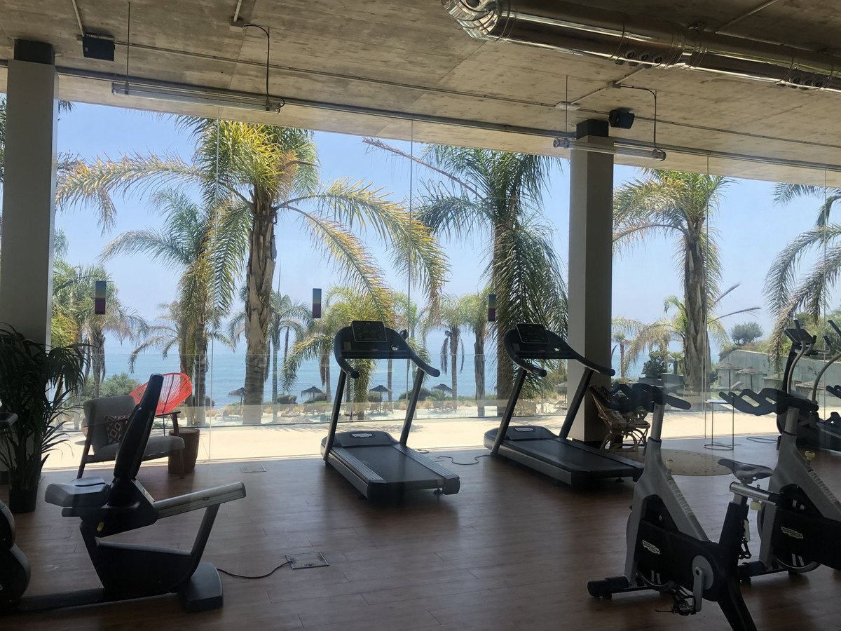 The gym, with the palms and the sea through the glass