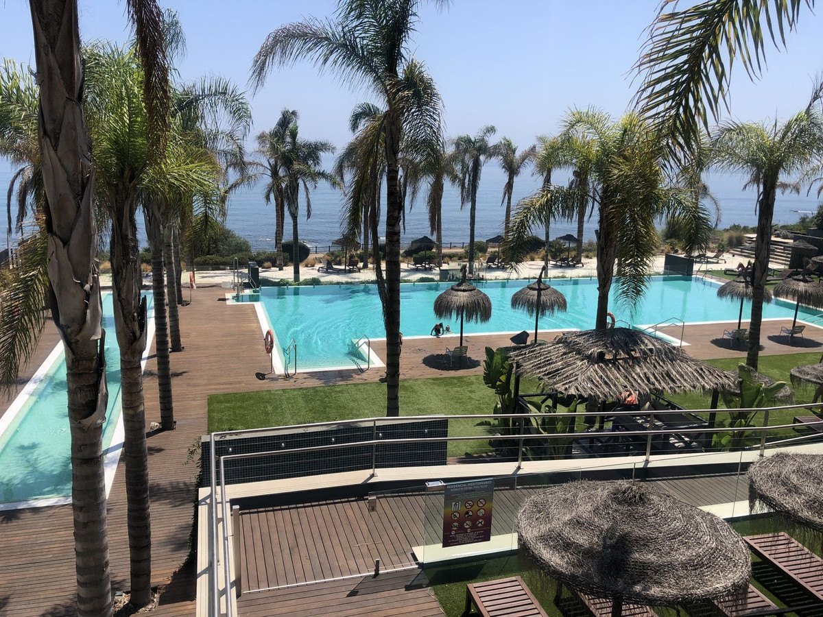 The pool deck under the palms, the sea beyond