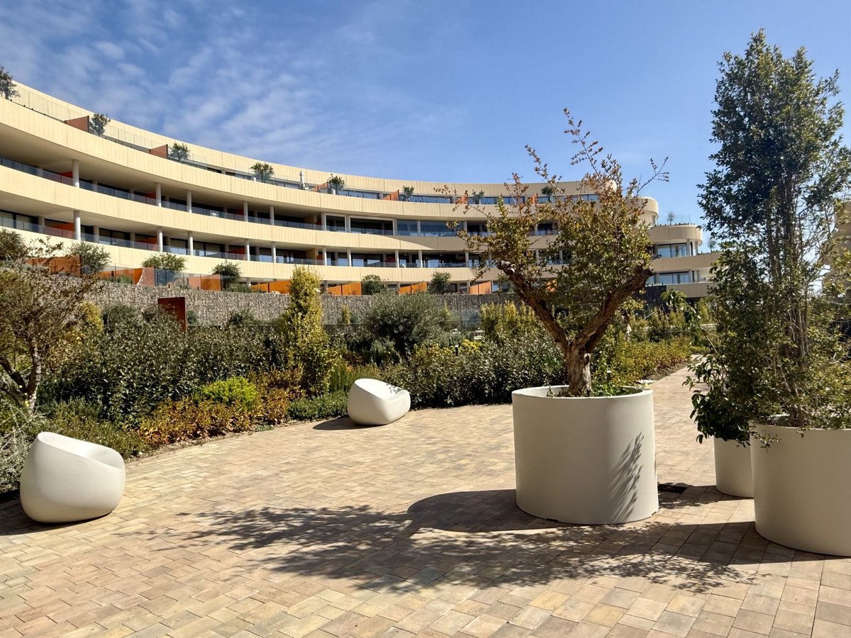 The gardens between the buildings
