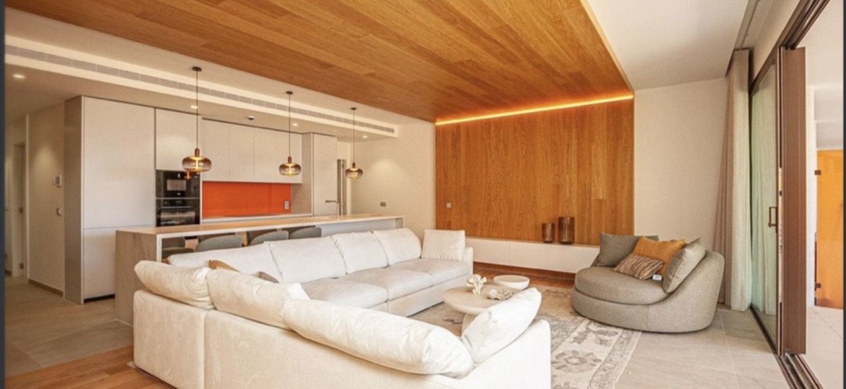 Living, dining and kitchen in one long room