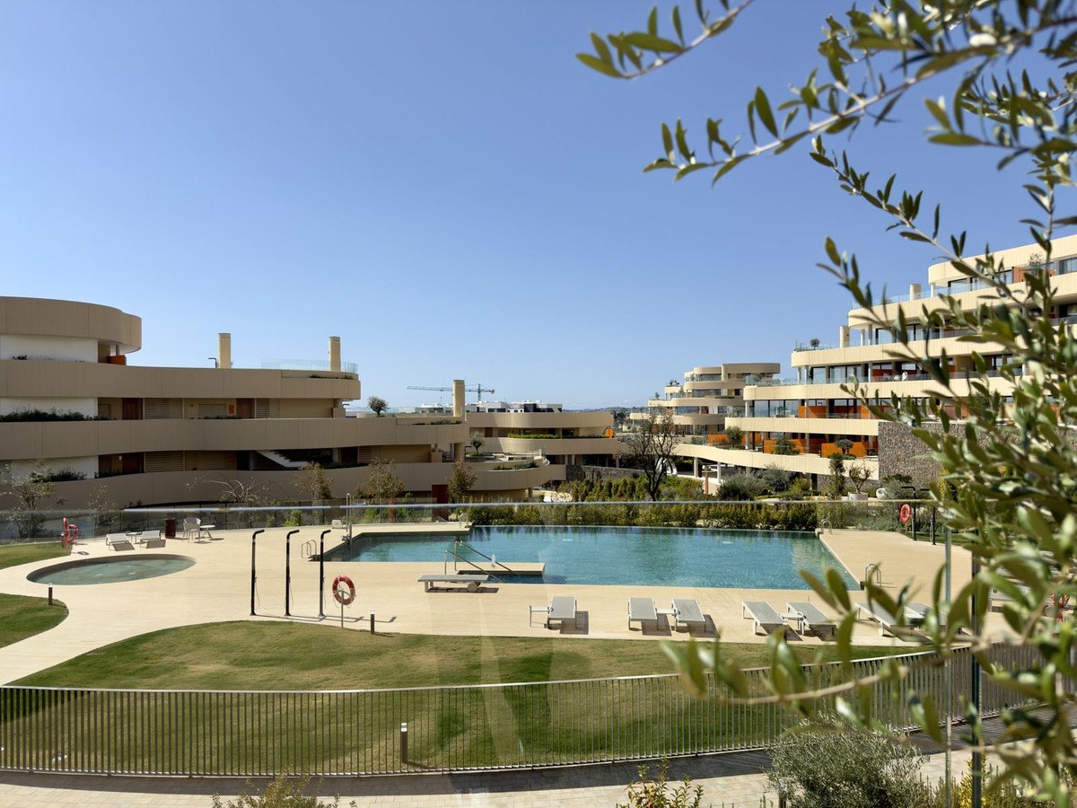 The curving terraces above the pool