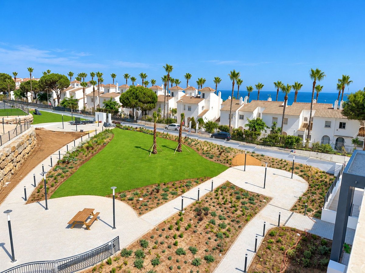 The community gardens, the sea beyond the palms