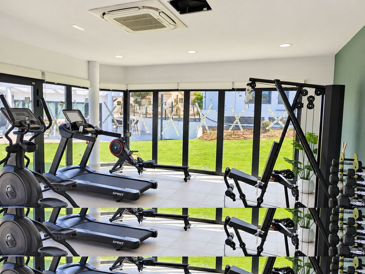 The gym, glazed onto the gardens