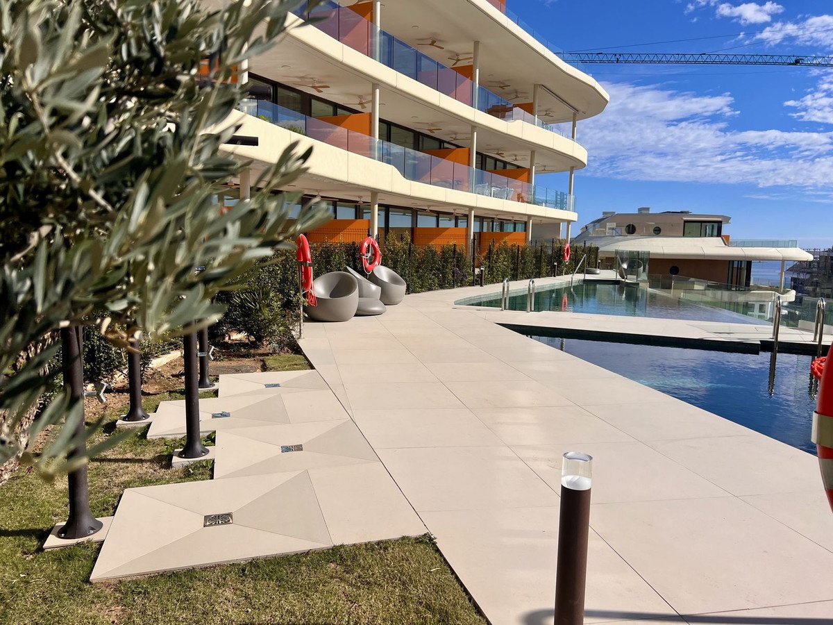 Pool deck and lawn under an olive tree