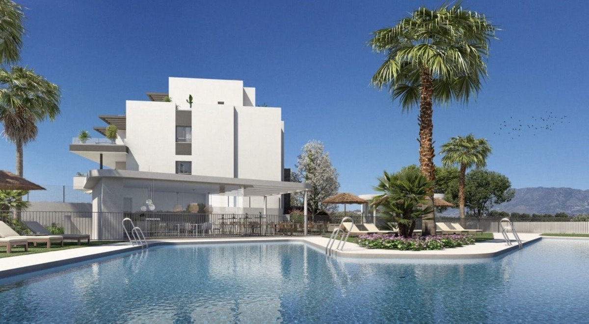 The communal pool among palms — a computer-generated image