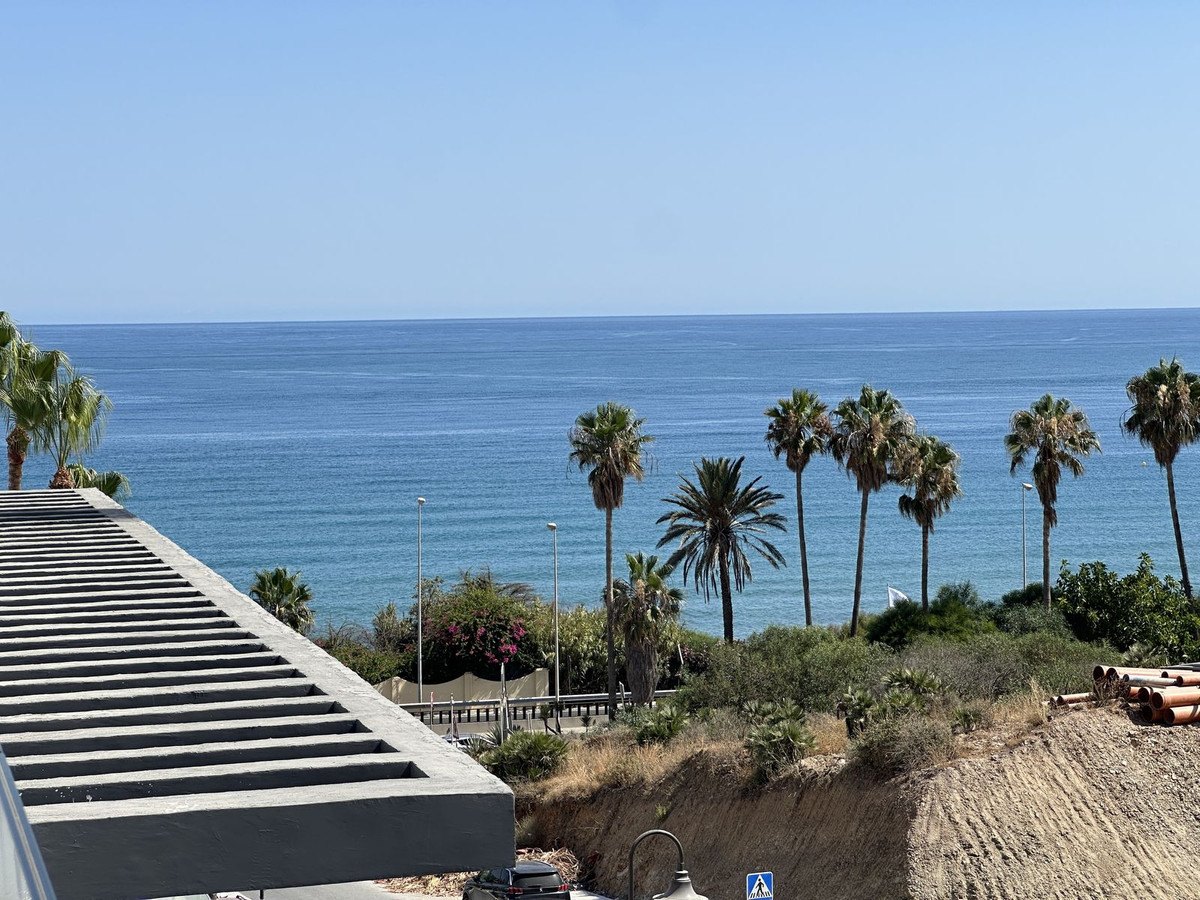 Palms along the shore, the sea beyond
