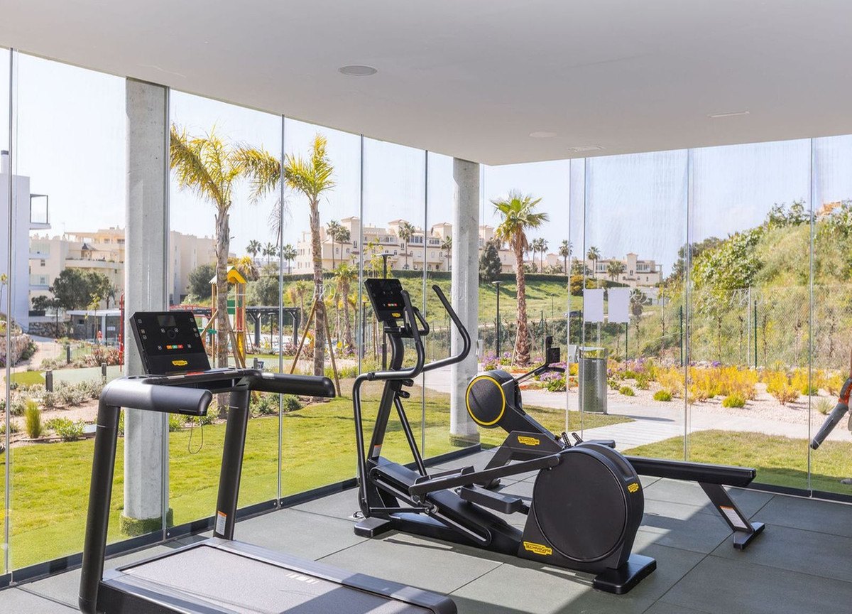 The gym