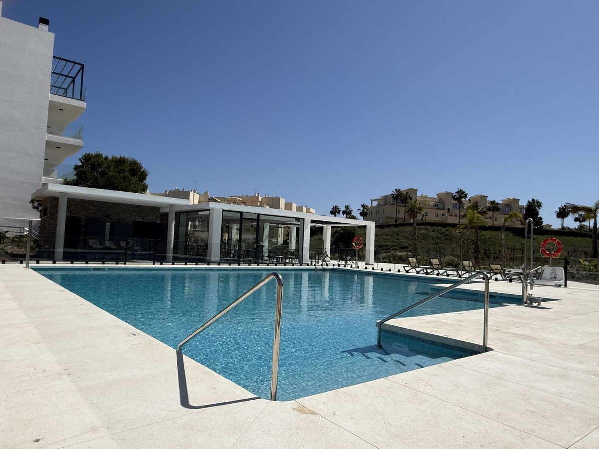 Pool steps, the pergola beyond