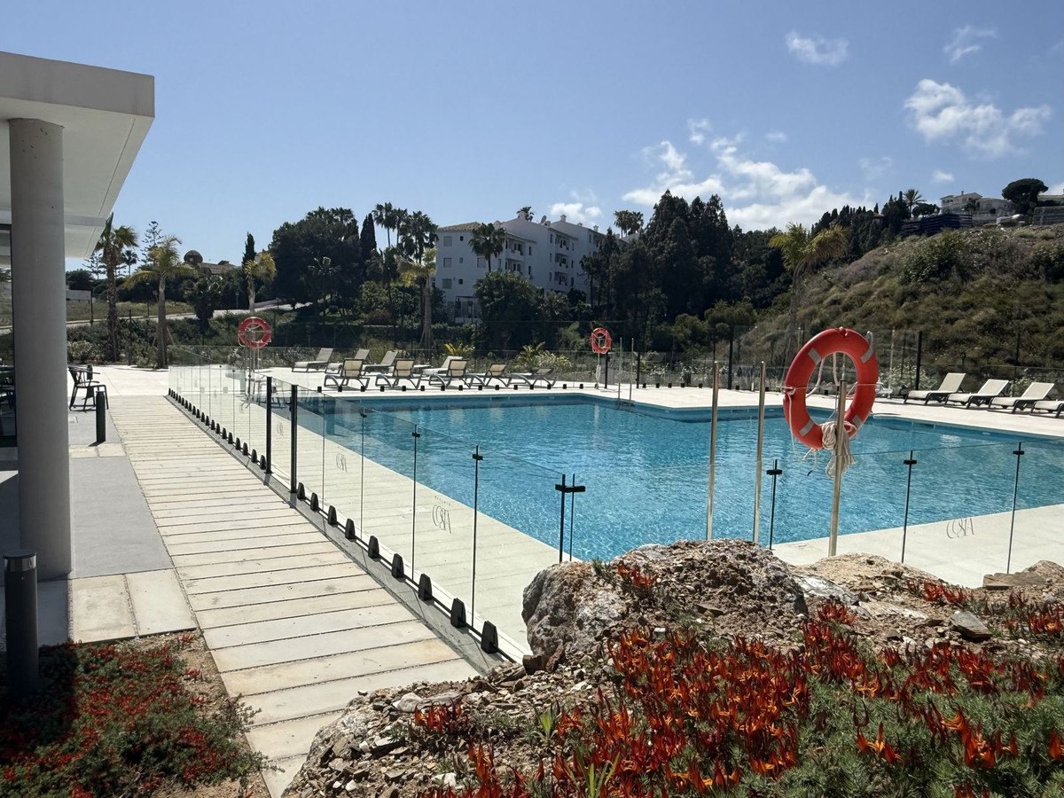 A fenced pool among the gardens