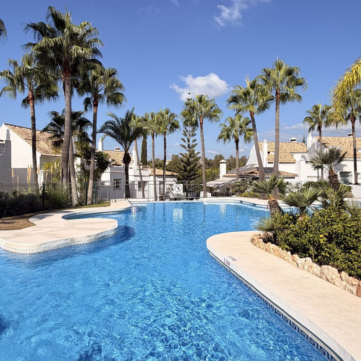 The community pool among palms