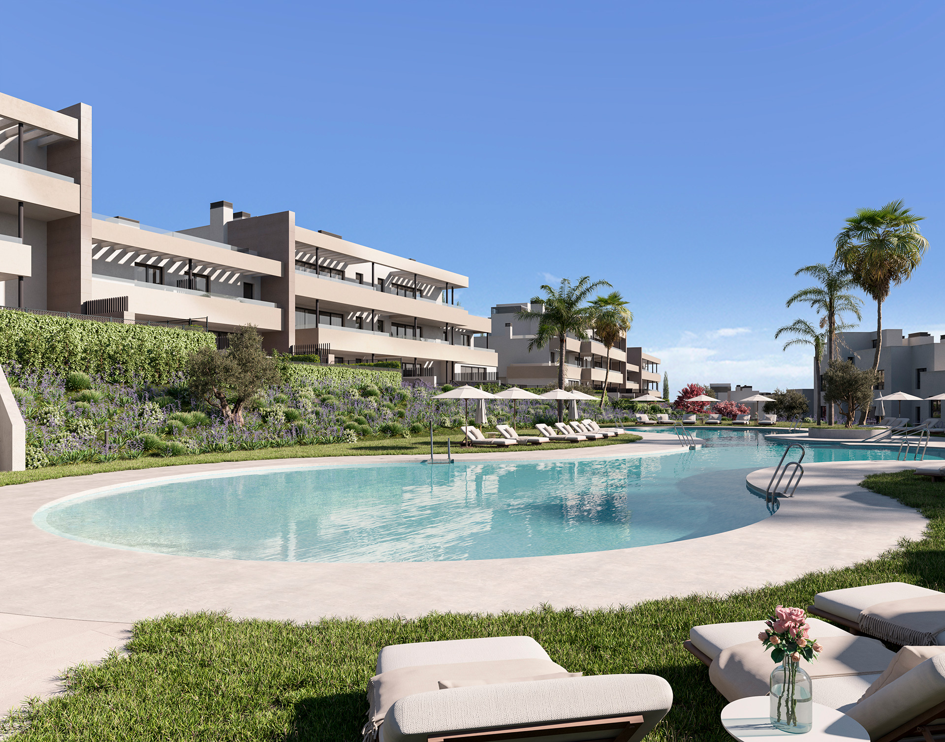 The lagoon pool and the palms