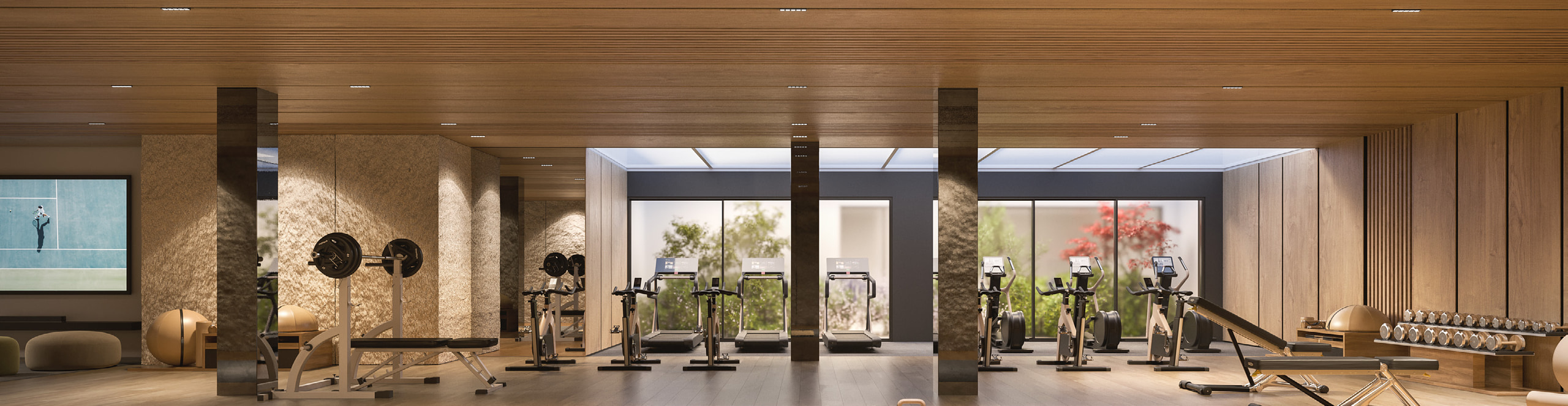 The gym