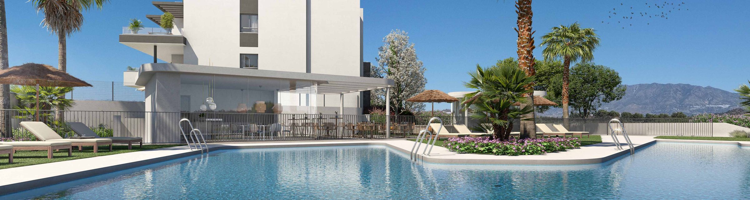 The communal pool, palms and the mountains behind