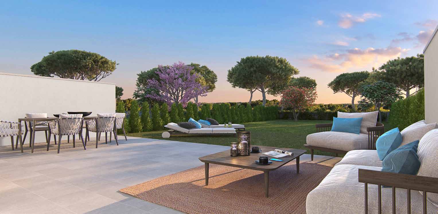 Terrace under the jacaranda